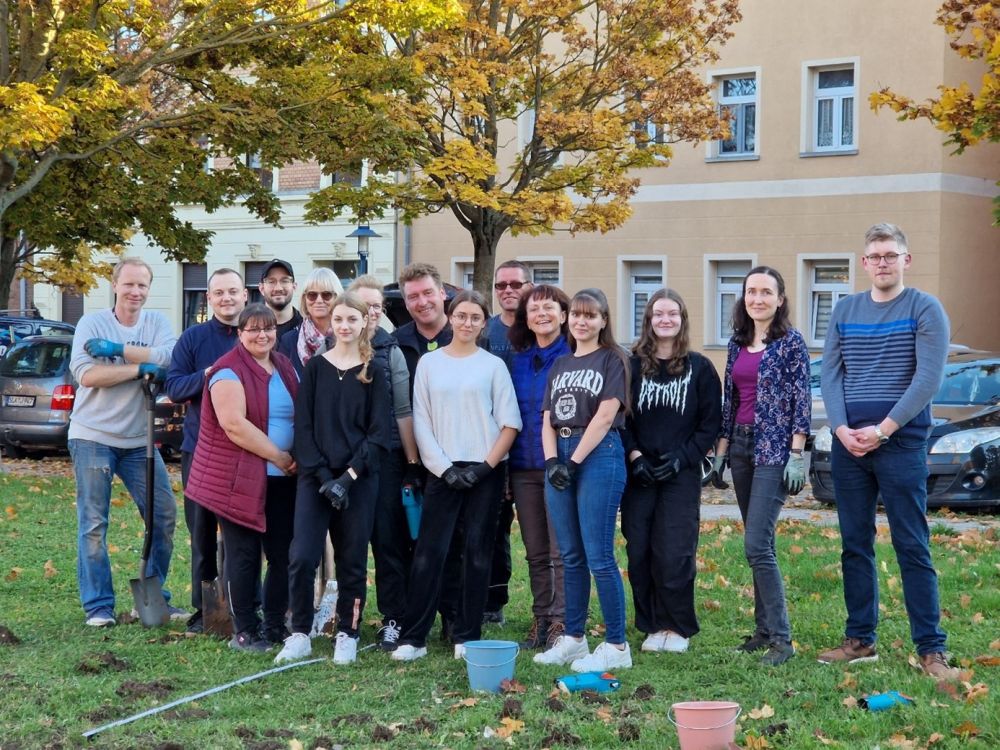 Schulföderverein Narzissen Zwiebeln